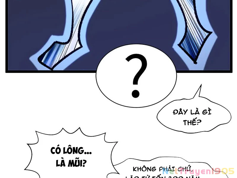 Đỉnh Cấp Khí Vận, Lặng Lẽ Tu Luyện Ngàn Năm Chapter 226 - Trang 2