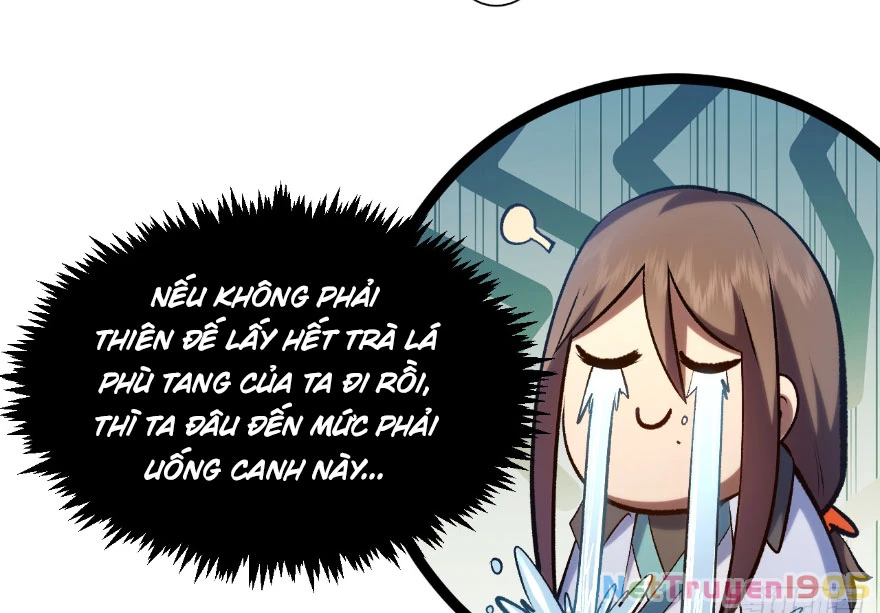 Đỉnh Cấp Khí Vận, Lặng Lẽ Tu Luyện Ngàn Năm Chapter 228 - Trang 2