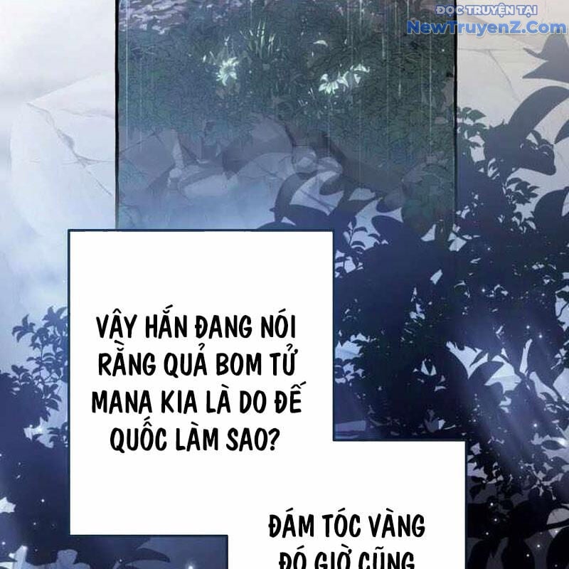 Sự Ra Đời Của Một Anh Hùng Chapter 147 - Trang 2