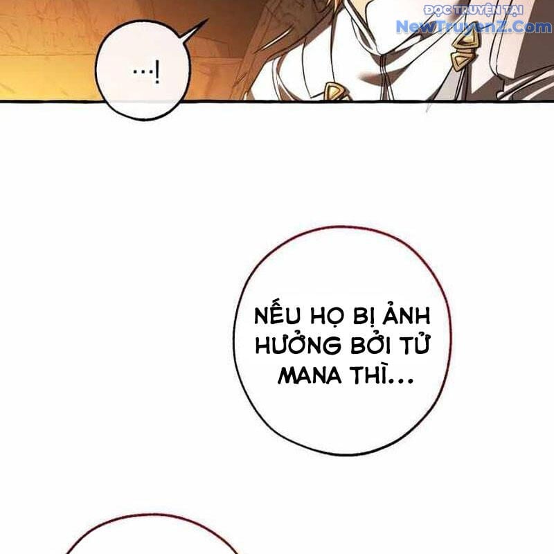 Sự Ra Đời Của Một Anh Hùng Chapter 147 - Trang 2