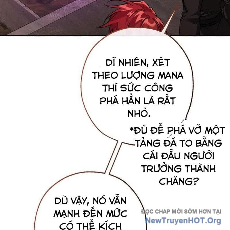 Sự Ra Đời Của Một Anh Hùng Chapter 162 - Trang 2