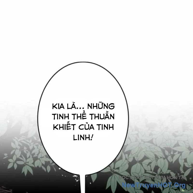 Chinh Phục Ngục Tối Bằng Sao Chép Dán! Chapter 58 - Trang 2