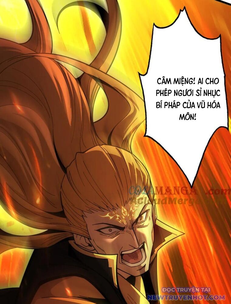 Gặp Mạnh Thì Càng Mạnh, Tu Vi Của Ta Không Giới Hạn Chapter 31 - Trang 2