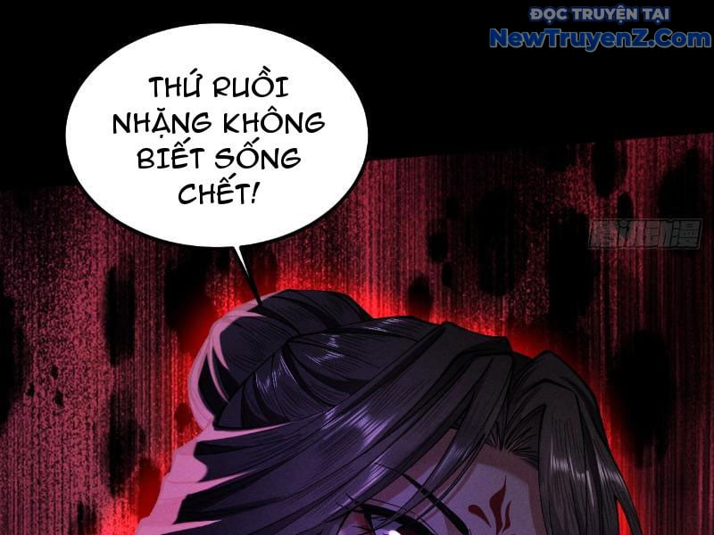Gặp Mạnh Thì Càng Mạnh, Tu Vi Của Ta Không Giới Hạn Chapter 35 - Trang 2