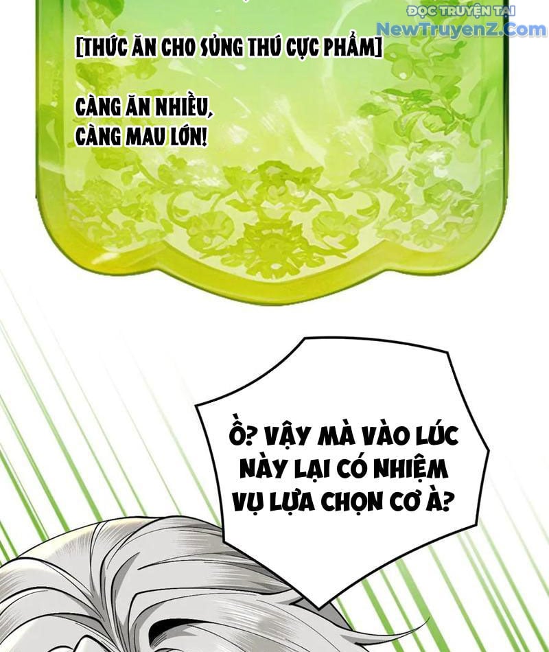 Gặp Mạnh Thì Càng Mạnh, Tu Vi Của Ta Không Giới Hạn Chapter 36 - Trang 2