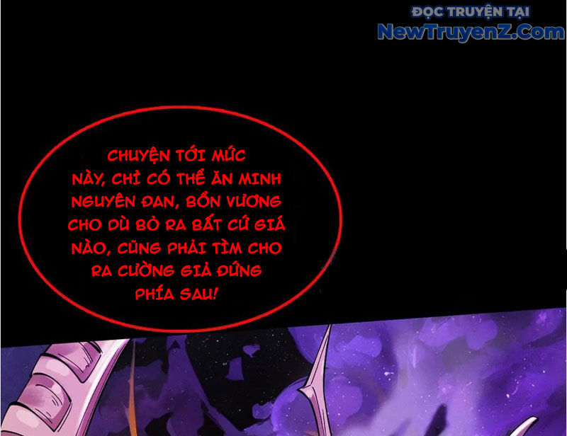 Gặp Mạnh Thì Càng Mạnh, Tu Vi Của Ta Không Giới Hạn Chapter 37 - Trang 2