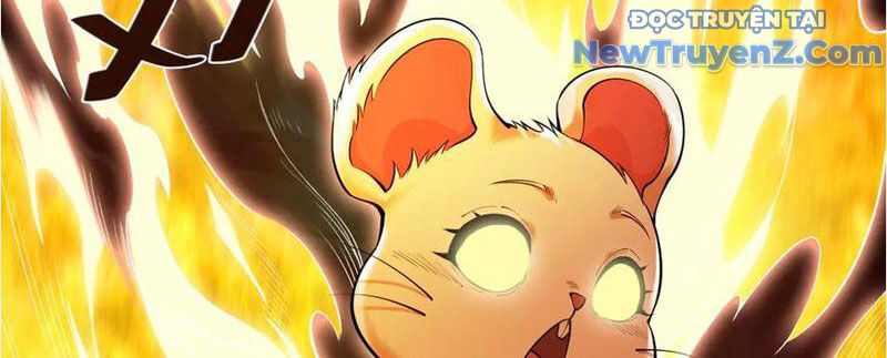 Gặp Mạnh Thì Càng Mạnh, Tu Vi Của Ta Không Giới Hạn Chapter 38 - Trang 2