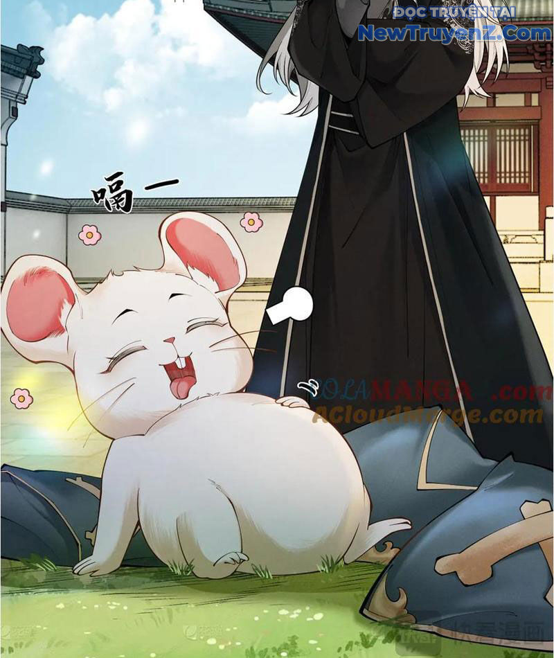 Gặp Mạnh Thì Càng Mạnh, Tu Vi Của Ta Không Giới Hạn Chapter 38 - Trang 2