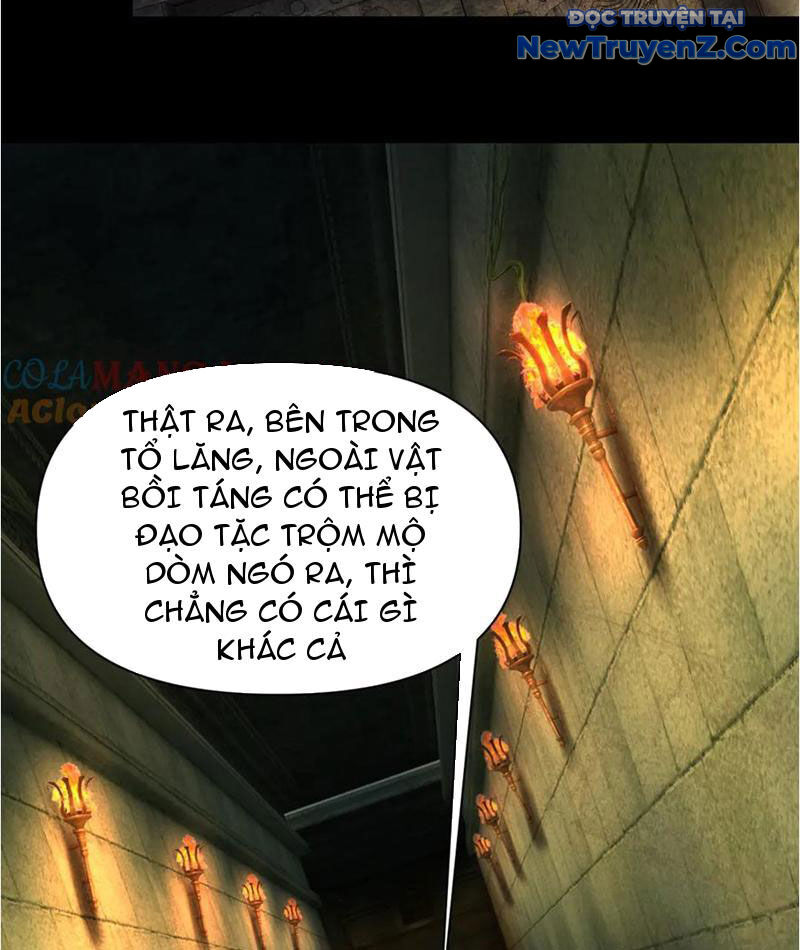 Gặp Mạnh Thì Càng Mạnh, Tu Vi Của Ta Không Giới Hạn Chapter 38 - Trang 2