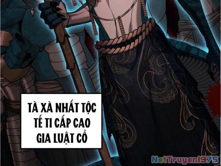 Gặp Mạnh Thì Càng Mạnh, Tu Vi Của Ta Không Giới Hạn Chapter 41 - Trang 2