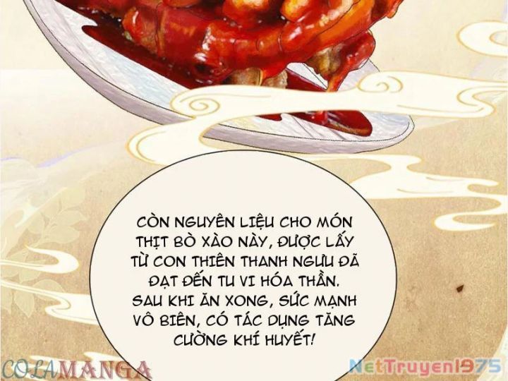 Gặp Mạnh Thì Càng Mạnh, Tu Vi Của Ta Không Giới Hạn Chapter 41 - Trang 2