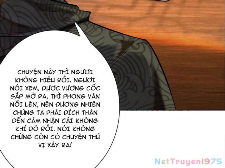 Gặp Mạnh Thì Càng Mạnh, Tu Vi Của Ta Không Giới Hạn Chapter 41 - Trang 2
