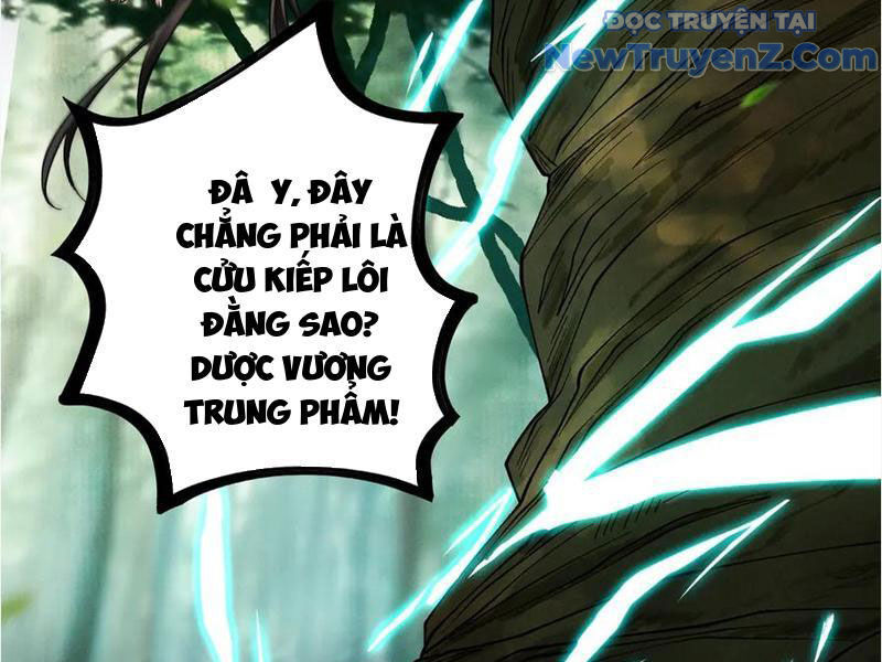 Gặp Mạnh Thì Càng Mạnh, Tu Vi Của Ta Không Giới Hạn Chapter 45 - Trang 2