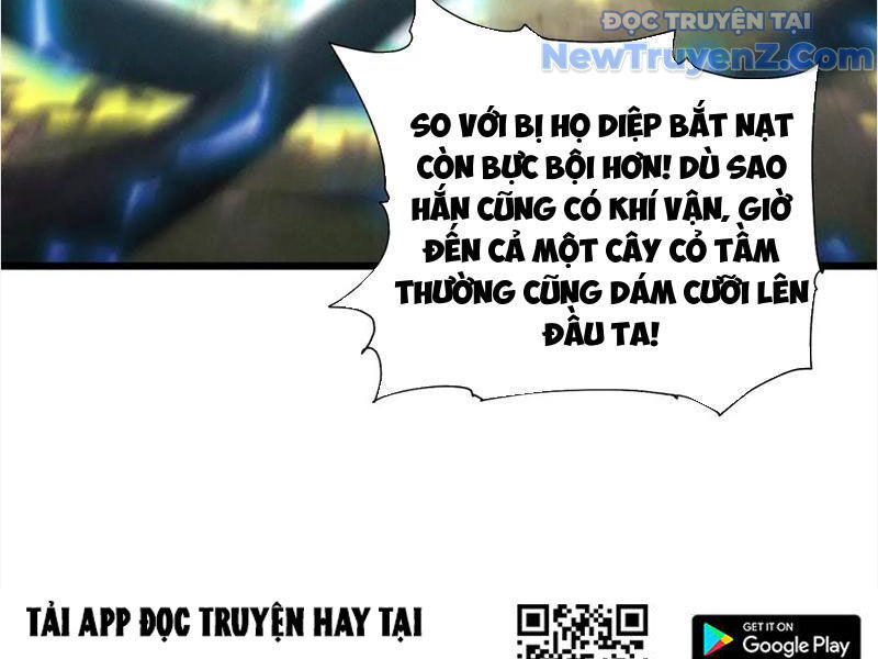 Gặp Mạnh Thì Càng Mạnh, Tu Vi Của Ta Không Giới Hạn Chapter 45 - Trang 2