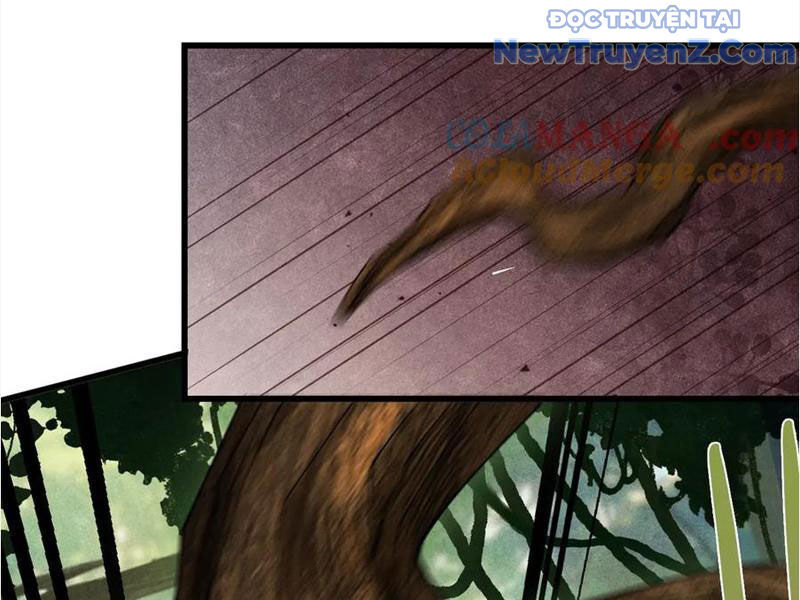 Gặp Mạnh Thì Càng Mạnh, Tu Vi Của Ta Không Giới Hạn Chapter 45 - Trang 2