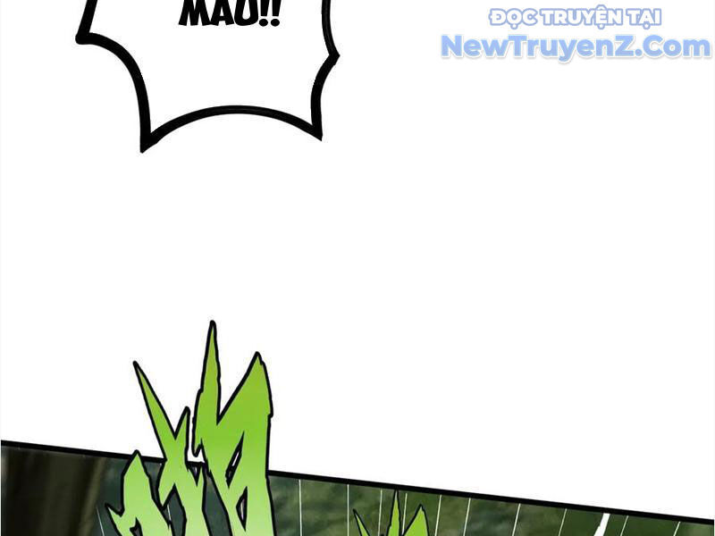 Gặp Mạnh Thì Càng Mạnh, Tu Vi Của Ta Không Giới Hạn Chapter 45 - Trang 2