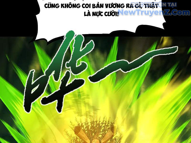 Gặp Mạnh Thì Càng Mạnh, Tu Vi Của Ta Không Giới Hạn Chapter 47 - Trang 2