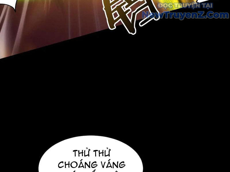 Gặp Mạnh Thì Càng Mạnh, Tu Vi Của Ta Không Giới Hạn Chapter 47 - Trang 2