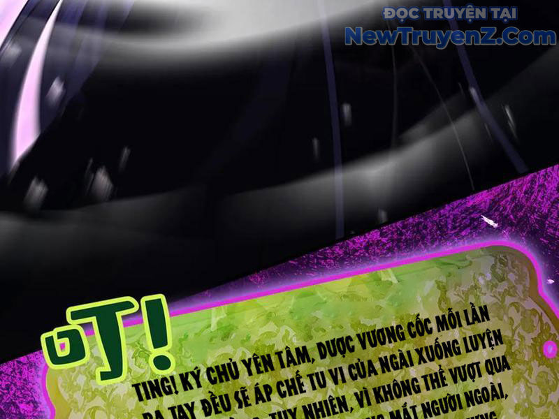 Gặp Mạnh Thì Càng Mạnh, Tu Vi Của Ta Không Giới Hạn Chapter 47 - Trang 2