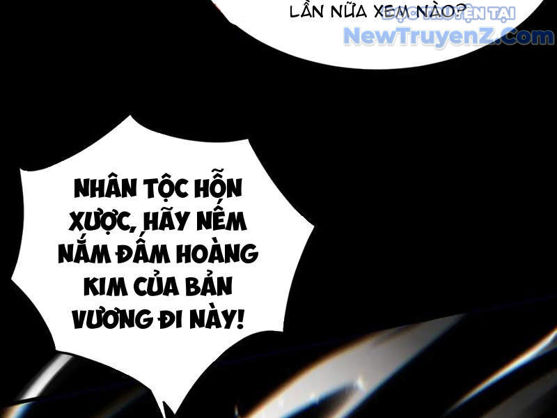 Gặp Mạnh Thì Càng Mạnh, Tu Vi Của Ta Không Giới Hạn Chapter 47 - Trang 2