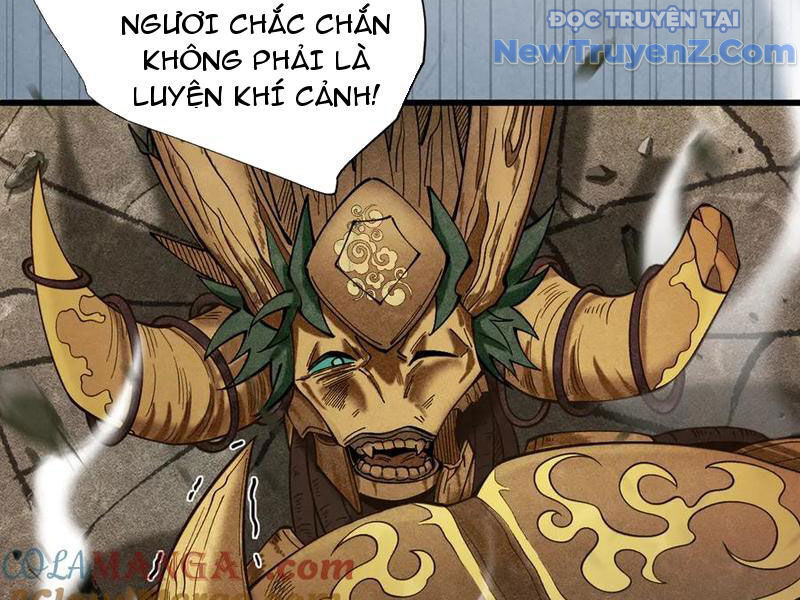 Gặp Mạnh Thì Càng Mạnh, Tu Vi Của Ta Không Giới Hạn Chapter 47 - Trang 2