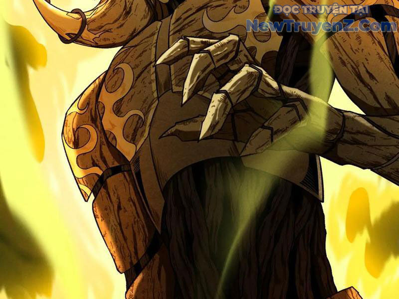 Gặp Mạnh Thì Càng Mạnh, Tu Vi Của Ta Không Giới Hạn Chapter 47 - Trang 2