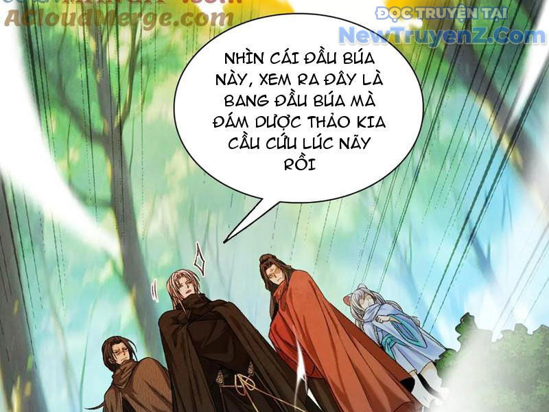 Gặp Mạnh Thì Càng Mạnh, Tu Vi Của Ta Không Giới Hạn Chapter 47 - Trang 2