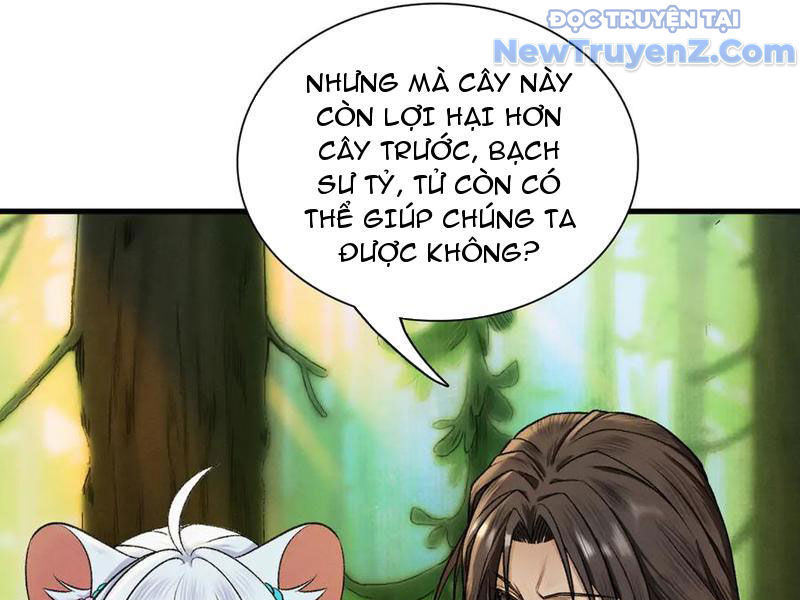 Gặp Mạnh Thì Càng Mạnh, Tu Vi Của Ta Không Giới Hạn Chapter 47 - Trang 2