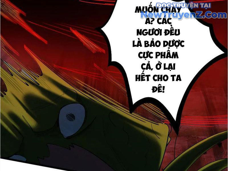 Gặp Mạnh Thì Càng Mạnh, Tu Vi Của Ta Không Giới Hạn Chapter 48 - Trang 2