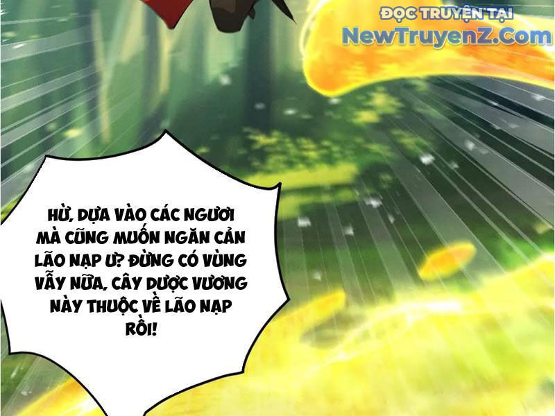 Gặp Mạnh Thì Càng Mạnh, Tu Vi Của Ta Không Giới Hạn Chapter 48 - Trang 2