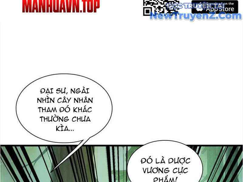 Gặp Mạnh Thì Càng Mạnh, Tu Vi Của Ta Không Giới Hạn Chapter 48 - Trang 2