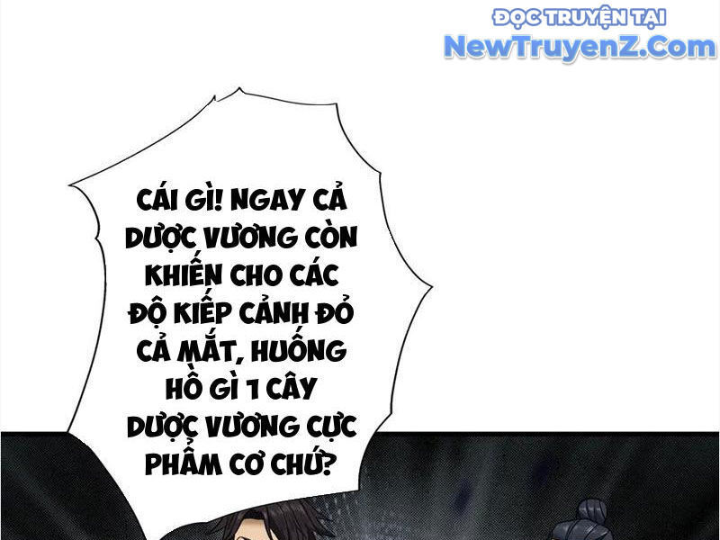 Gặp Mạnh Thì Càng Mạnh, Tu Vi Của Ta Không Giới Hạn Chapter 48 - Trang 2