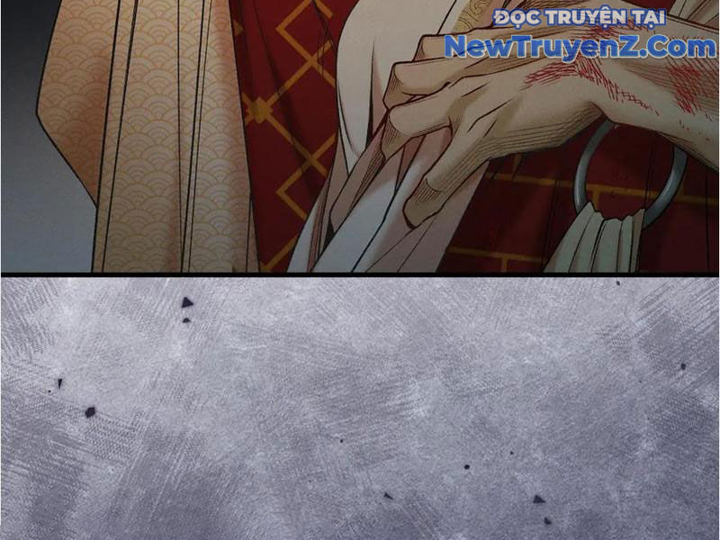 Gặp Mạnh Thì Càng Mạnh, Tu Vi Của Ta Không Giới Hạn Chapter 48 - Trang 2