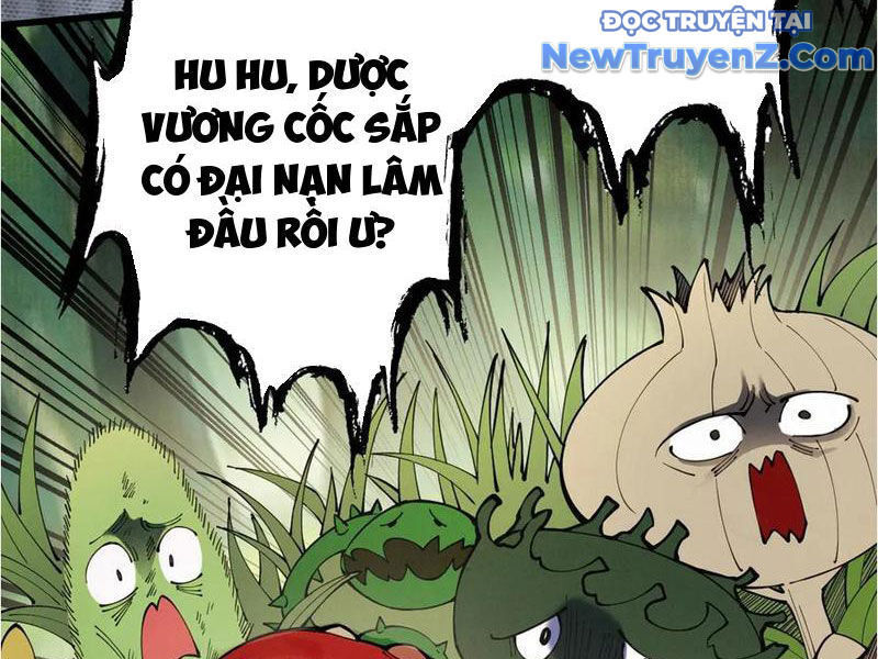 Gặp Mạnh Thì Càng Mạnh, Tu Vi Của Ta Không Giới Hạn Chapter 48 - Trang 2