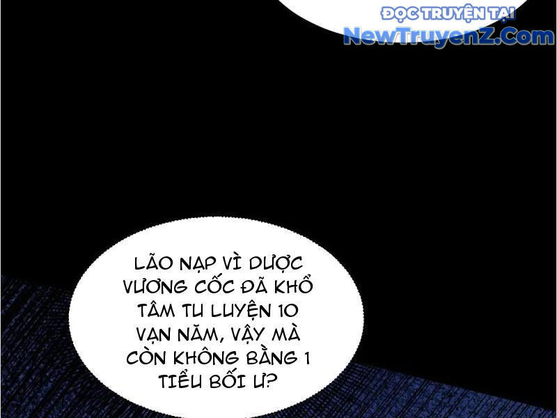 Gặp Mạnh Thì Càng Mạnh, Tu Vi Của Ta Không Giới Hạn Chapter 48 - Trang 2