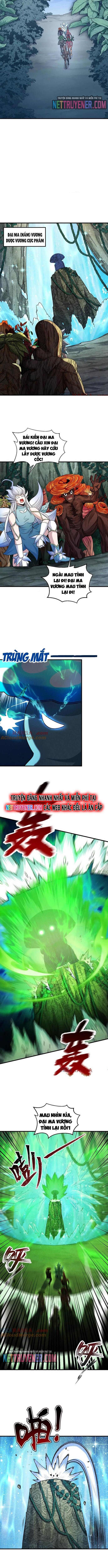 Gặp Mạnh Thì Càng Mạnh, Tu Vi Của Ta Không Giới Hạn Chapter 49 - Trang 2