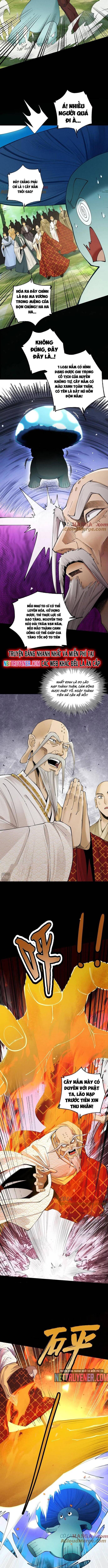 Gặp Mạnh Thì Càng Mạnh, Tu Vi Của Ta Không Giới Hạn Chapter 49 - Trang 2