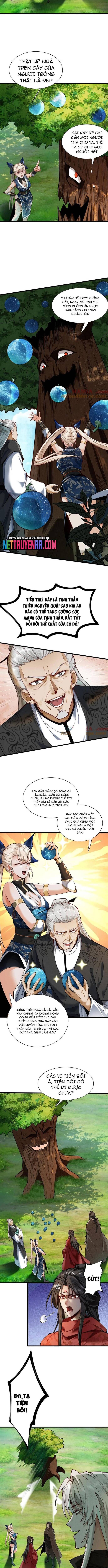 Gặp Mạnh Thì Càng Mạnh, Tu Vi Của Ta Không Giới Hạn Chapter 50 - Trang 2