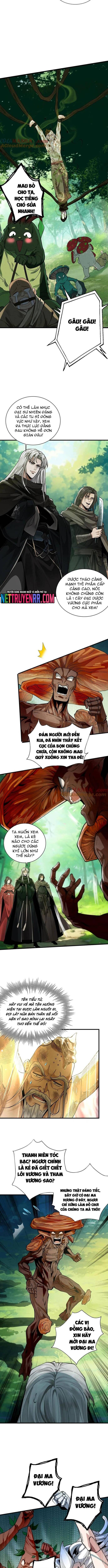 Gặp Mạnh Thì Càng Mạnh, Tu Vi Của Ta Không Giới Hạn Chapter 50 - Trang 2