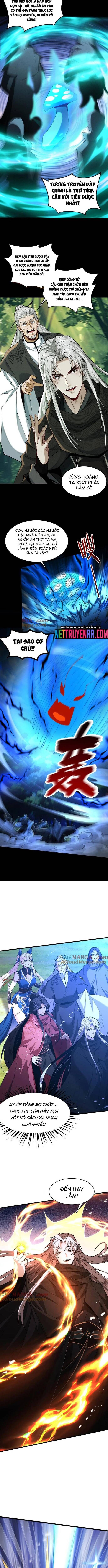 Gặp Mạnh Thì Càng Mạnh, Tu Vi Của Ta Không Giới Hạn Chapter 50 - Trang 2