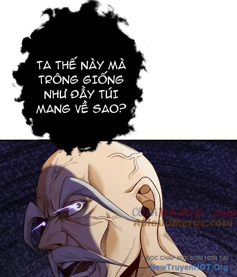 Gặp Mạnh Thì Càng Mạnh, Tu Vi Của Ta Không Giới Hạn Chapter 52 - Trang 2