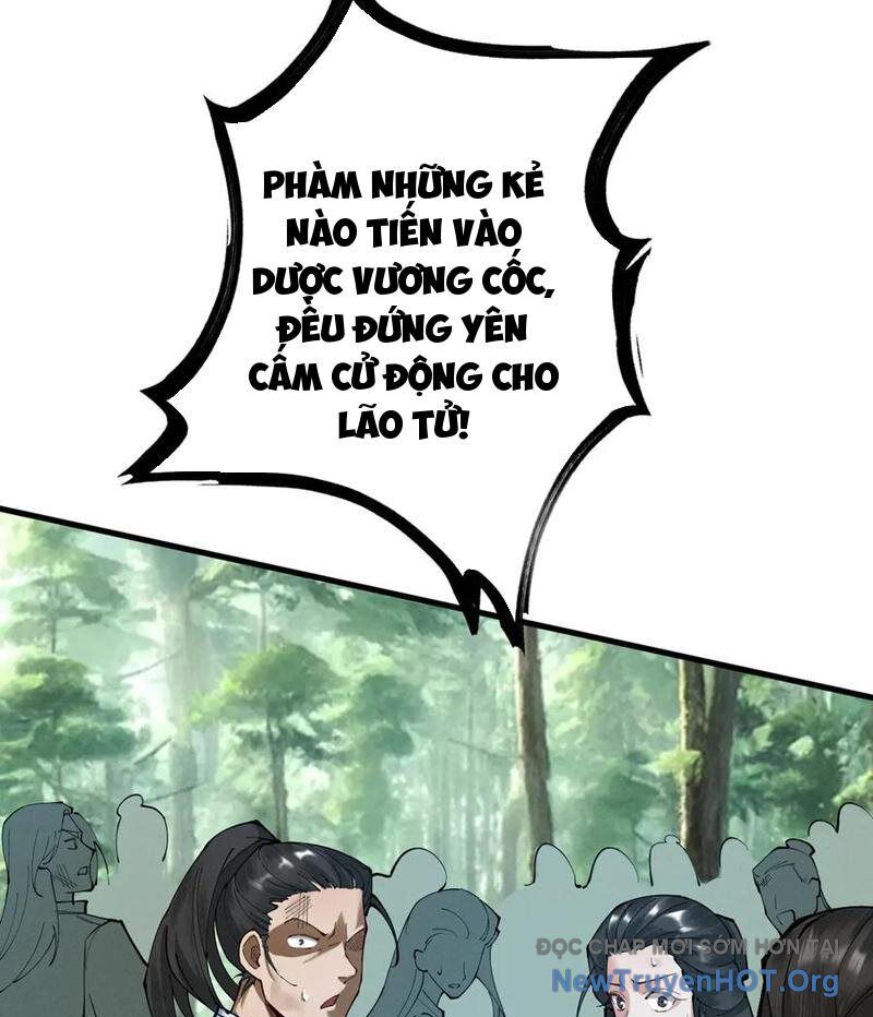 Gặp Mạnh Thì Càng Mạnh, Tu Vi Của Ta Không Giới Hạn Chapter 52 - Trang 2