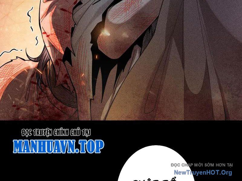 Gặp Mạnh Thì Càng Mạnh, Tu Vi Của Ta Không Giới Hạn Chapter 55 - Trang 2