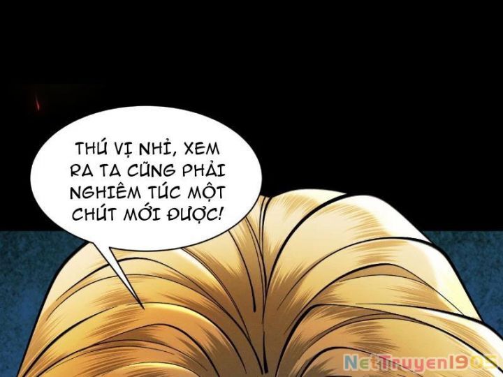 Gặp Mạnh Thì Càng Mạnh, Tu Vi Của Ta Không Giới Hạn Chapter 60 - Trang 2