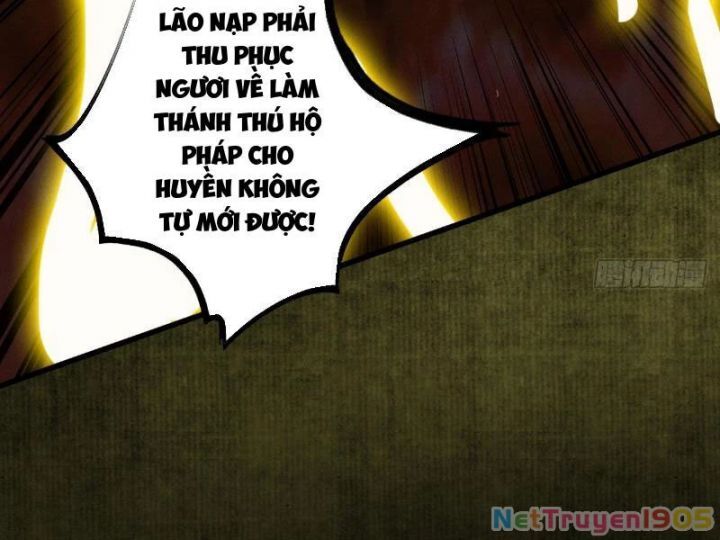 Gặp Mạnh Thì Càng Mạnh, Tu Vi Của Ta Không Giới Hạn Chapter 60 - Trang 2