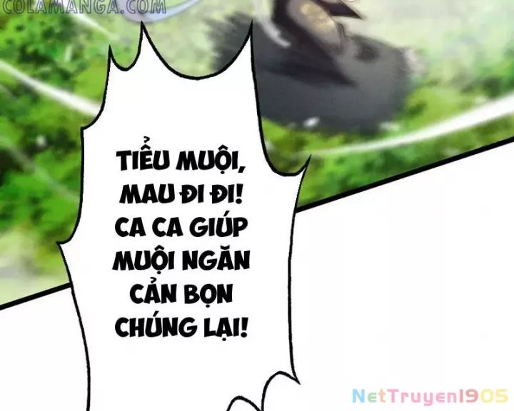 Gặp Mạnh Thì Càng Mạnh, Tu Vi Của Ta Không Giới Hạn Chapter 62 - Trang 2