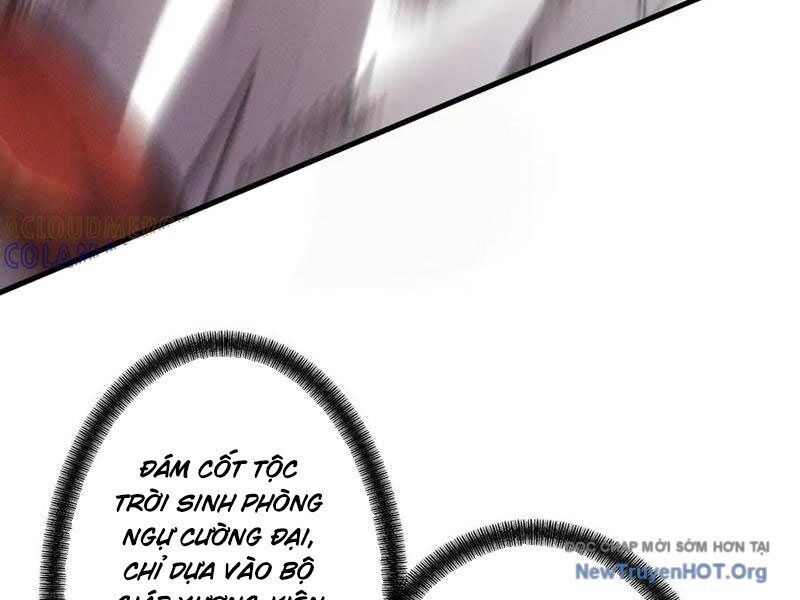 Gặp Mạnh Thì Càng Mạnh, Tu Vi Của Ta Không Giới Hạn Chapter 65 - Trang 2