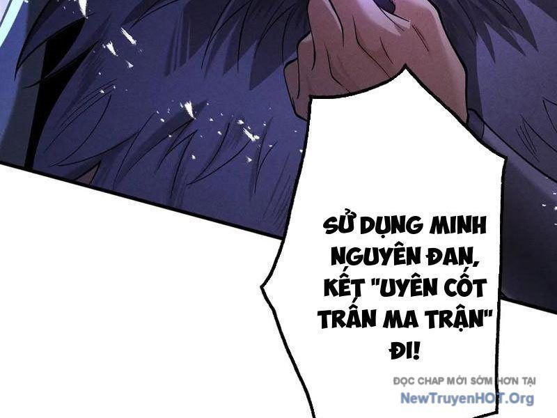 Gặp Mạnh Thì Càng Mạnh, Tu Vi Của Ta Không Giới Hạn Chapter 65 - Trang 2