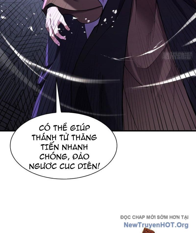 Gặp Mạnh Thì Càng Mạnh, Tu Vi Của Ta Không Giới Hạn Chapter 67 - Trang 2