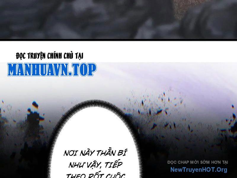 Gặp Mạnh Thì Càng Mạnh, Tu Vi Của Ta Không Giới Hạn Chapter 70 - Trang 2